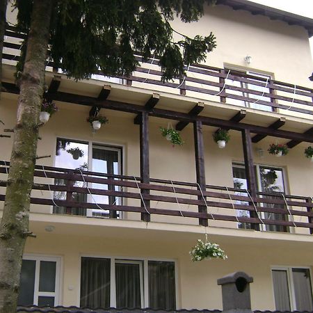 Hotel Casa Katalina 2 Buşteni Zewnętrze zdjęcie