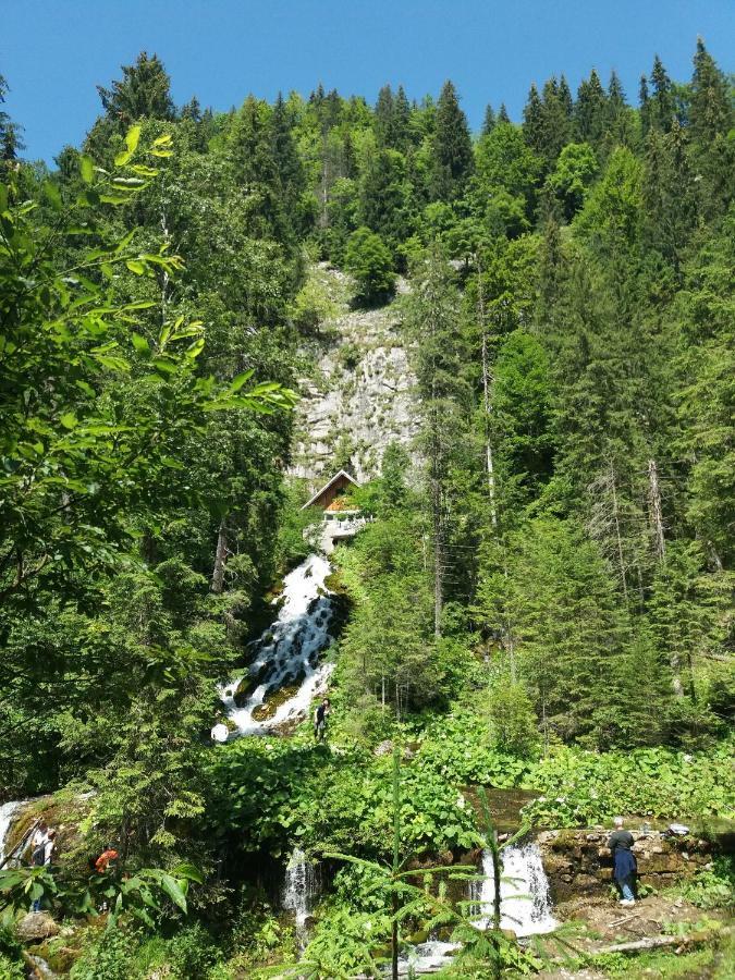 Hotel Casa Katalina 2 Buşteni Zewnętrze zdjęcie